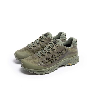 Moab Speed GTX Lichen Merrell